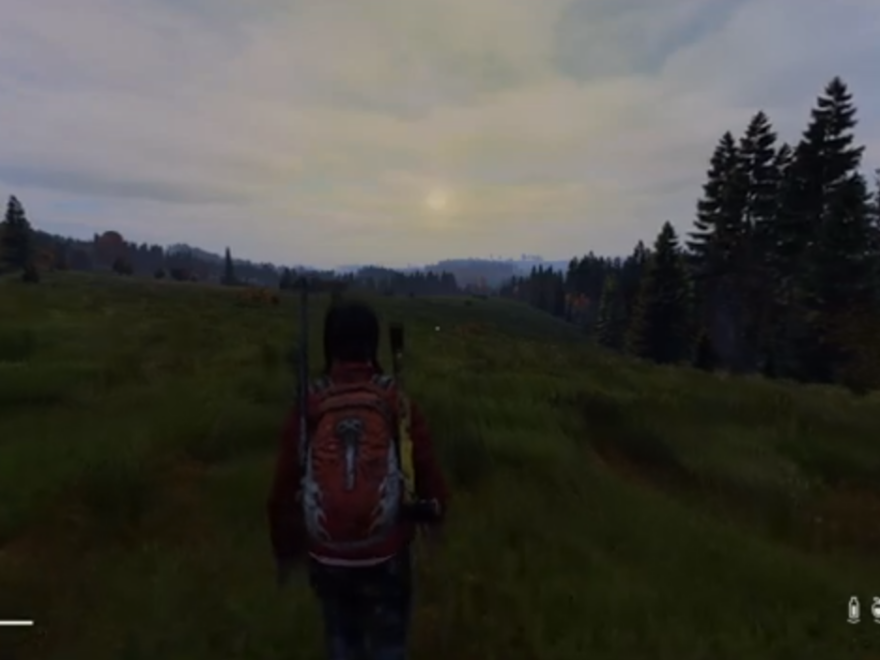 DayZ - Tour in Chernarus